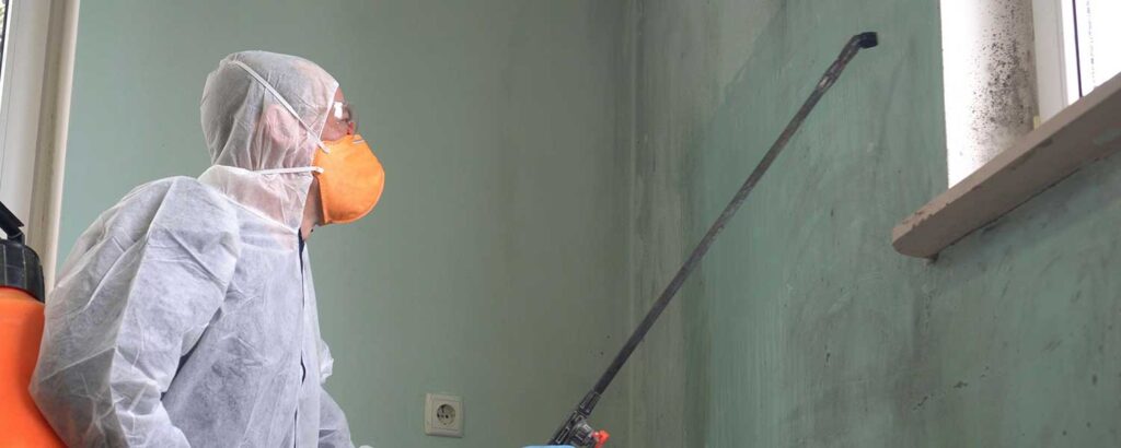 mold remediation San Diego